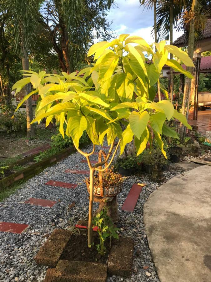 Grandma'S House Διαμέρισμα Nakhon Nayok Εξωτερικό φωτογραφία